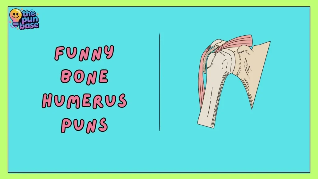 Funny Bone Humerus Puns