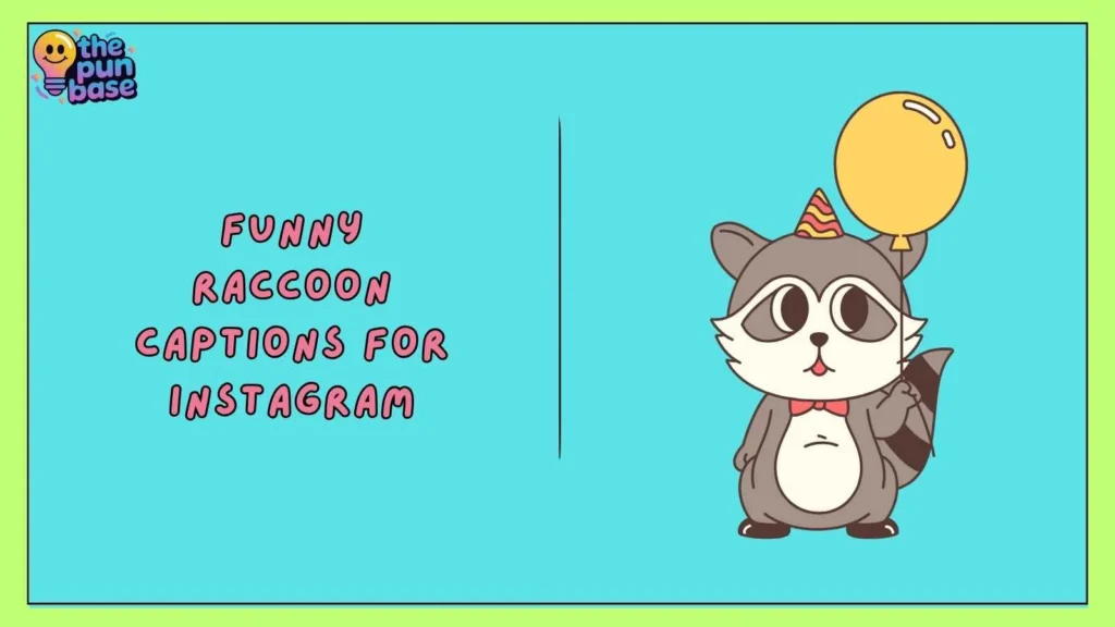 Funny Raccoon Captions for Instagram