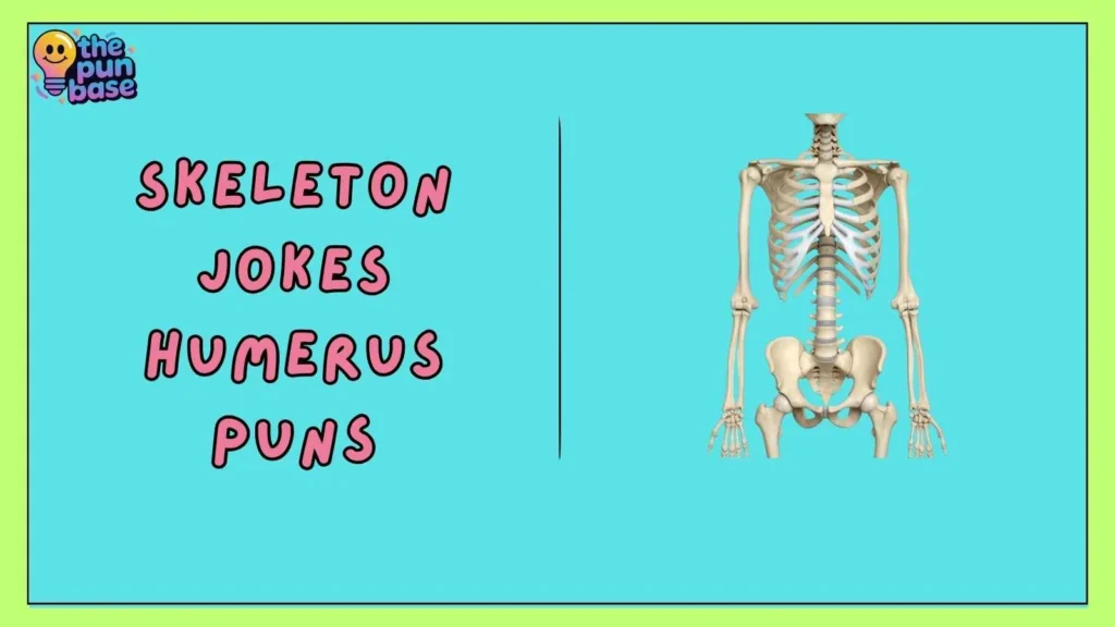 Skeleton Jokes Humerus Puns