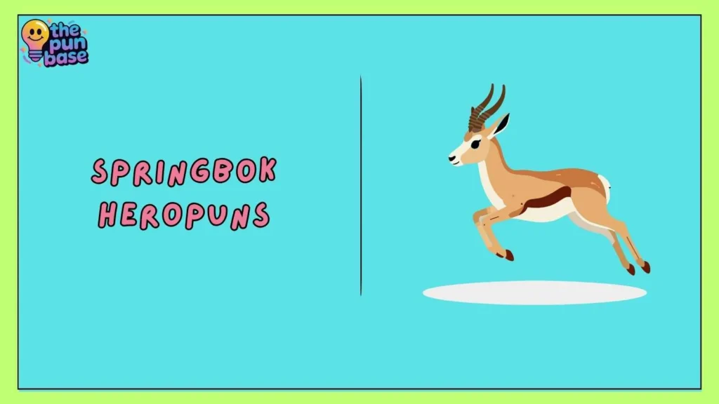 Springbok heroPuns