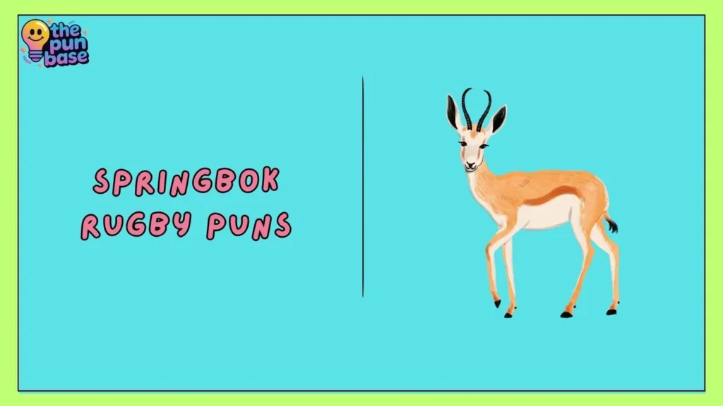 Springbok Rugby Puns