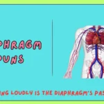 Diaphragm Puns