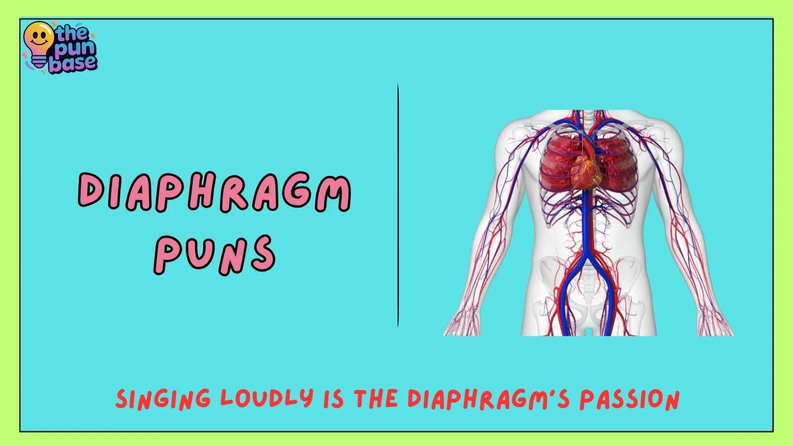 Diaphragm Puns