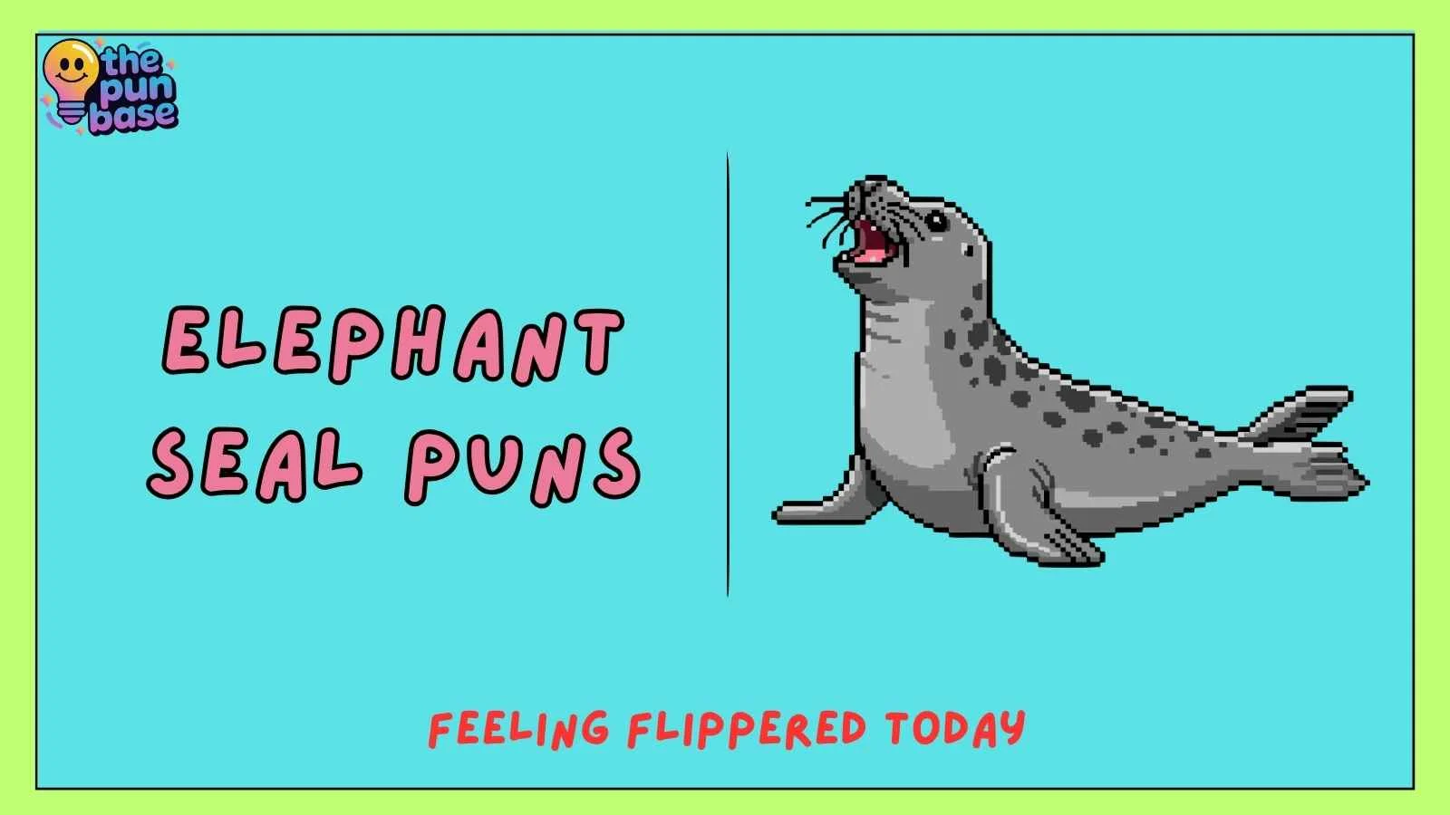Elephant Seal Puns