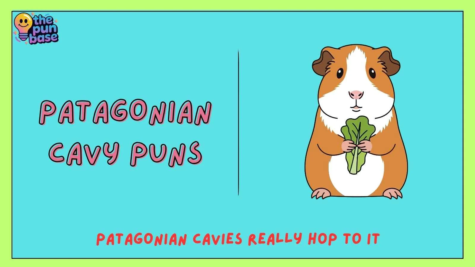 Patagonian Cavy Puns