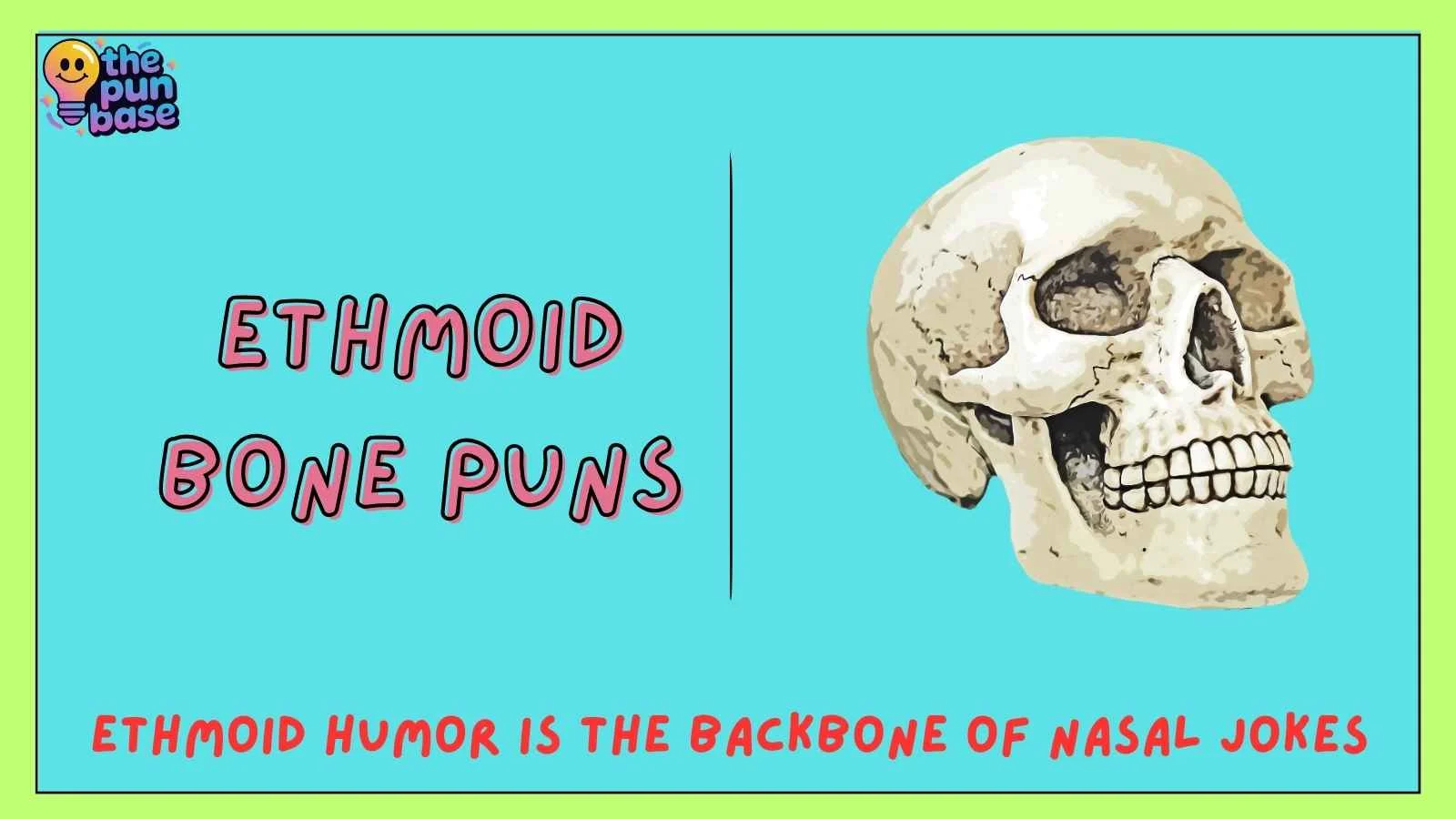 Ethmoid Bone Puns