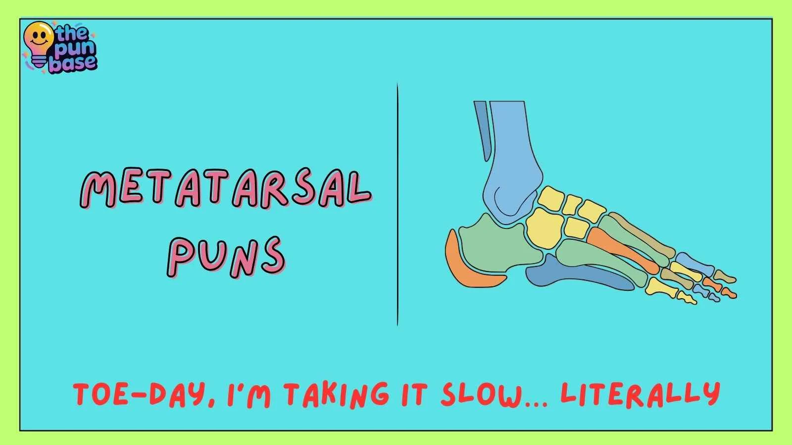 Metatarsal Puns
