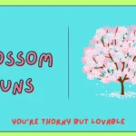 Blossom Puns