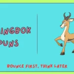 Springbok Puns