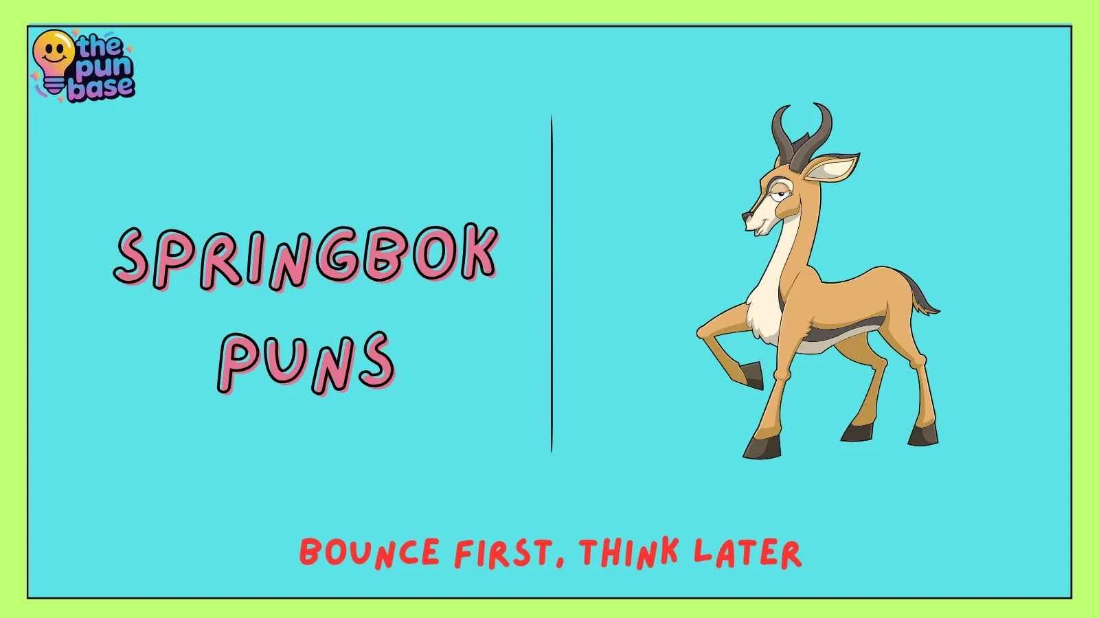 Springbok Puns