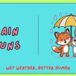 rain puns
