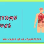 anatomy puns