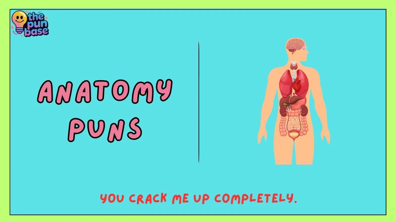 anatomy puns