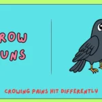crow puns