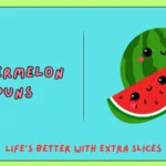 Watermelon Puns